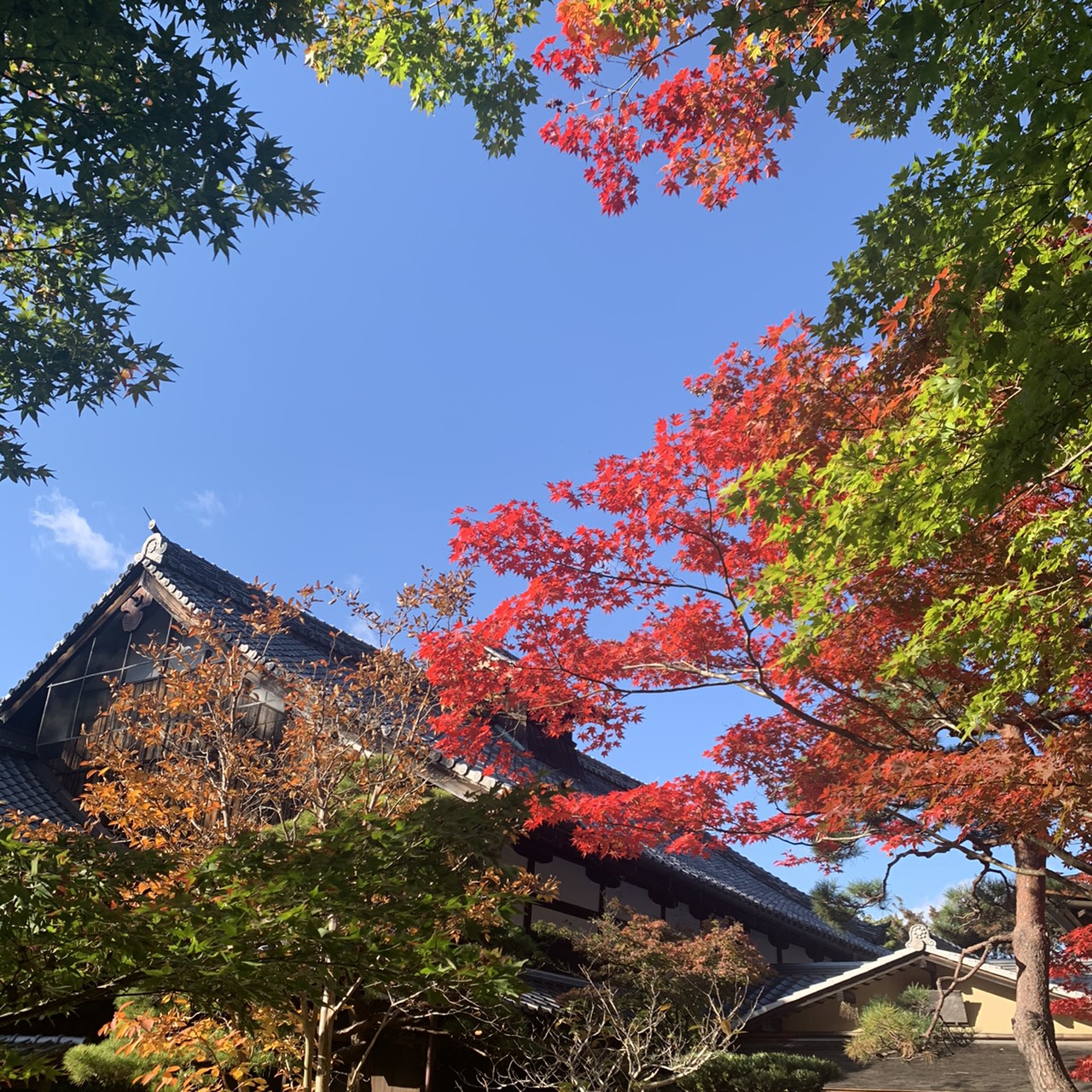 ☆紅葉 in 京都