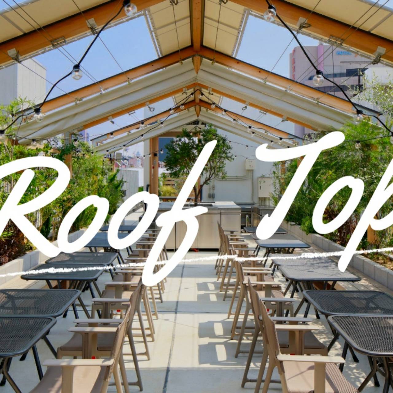 Roof Top